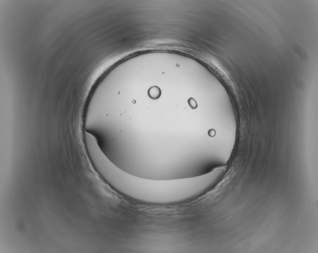 X0000111381336200908071227