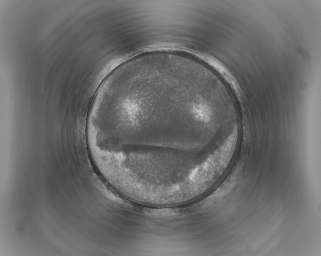 X0000111381337200908071227