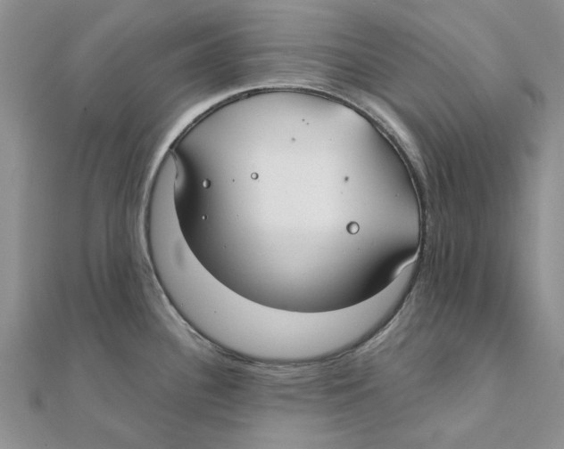 X0000111381340200908071227