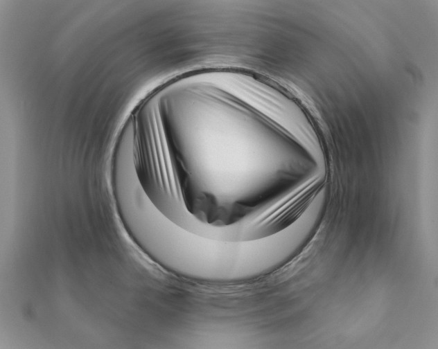 X0000111381342200908071227