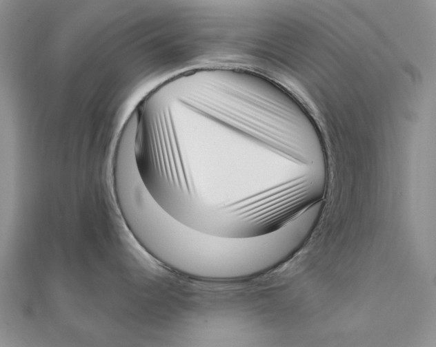 X0000111381344200908071227