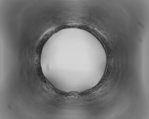 X0000111381351200908071226