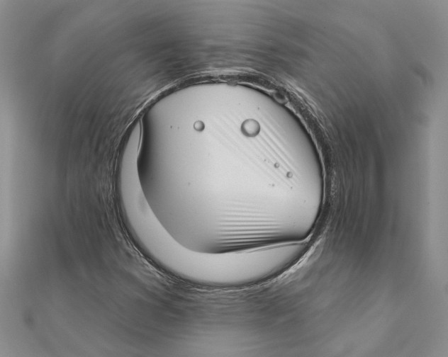 X0000111381353200908071226