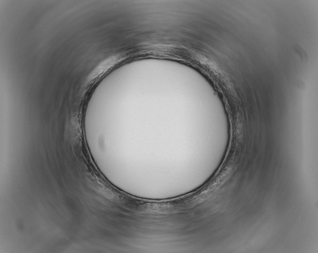 X0000111381354200908071226