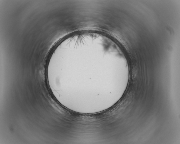 X0000111381356200908071226