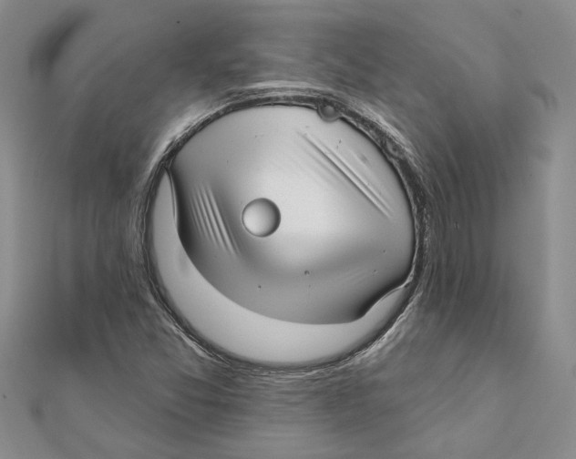 X0000111381357200908071226