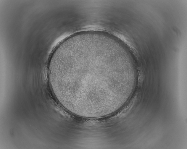 X0000111381358200908071226