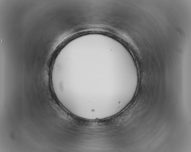 X0000111381360200908071226