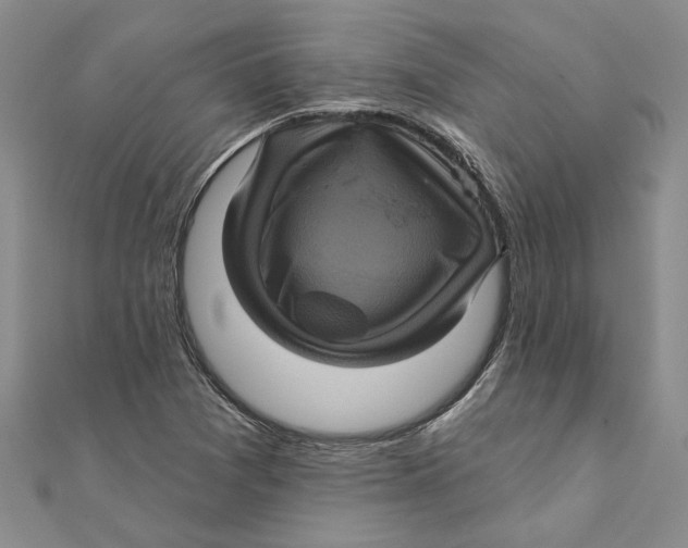 X0000111381361200908071226