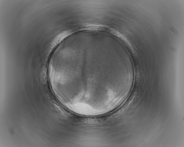 X0000111381362200908071226