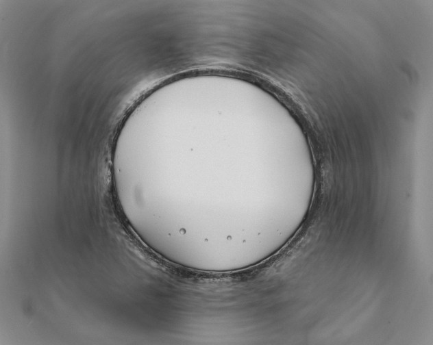 X0000111381363200908071226