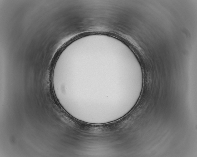 X0000111381364200908071226