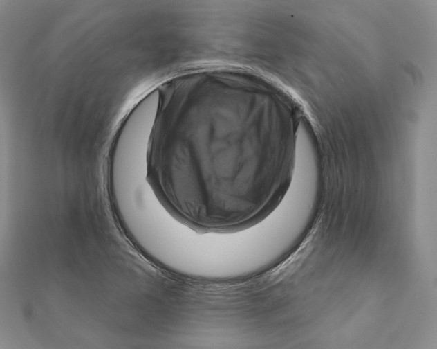 X0000111381365200908071226