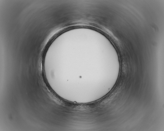 X0000111381368200908071226