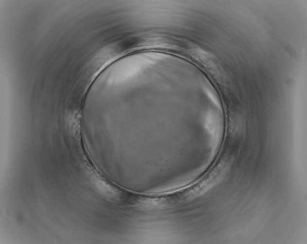 X0000111381369200908071226