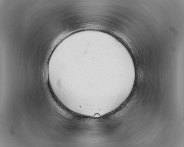 X0000111381371200908071226