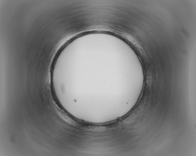 X0000111381372200908071226