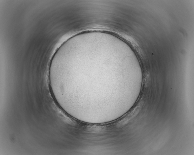 X0000111381374200908071226