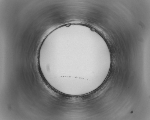 X0000111381375200908071226