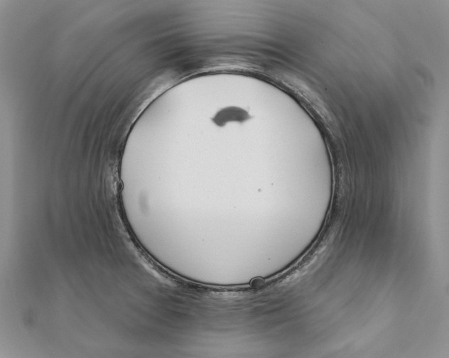 X0000111381377200908071226