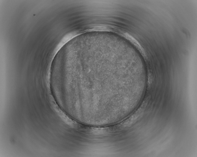 X0000111381378200908071226