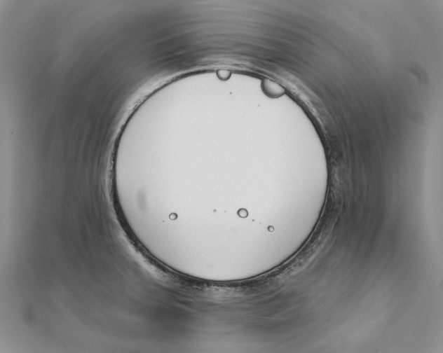 X0000111381379200908071226