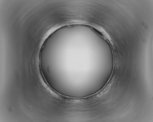 X0000111381381200908071226