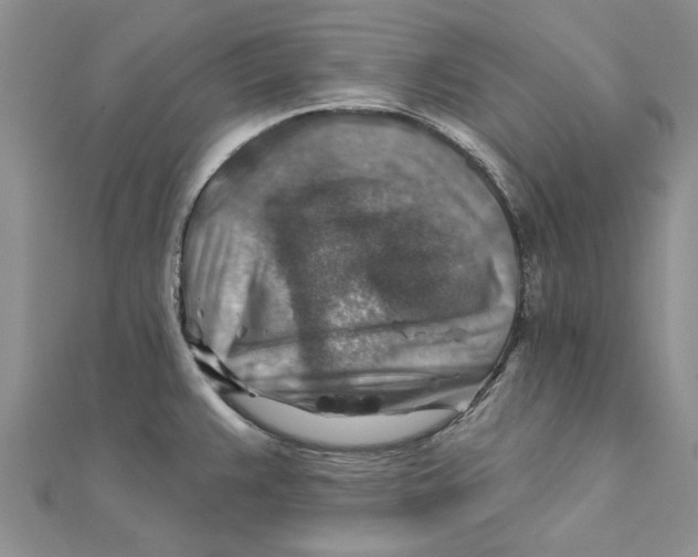 X0000111381383200908071226