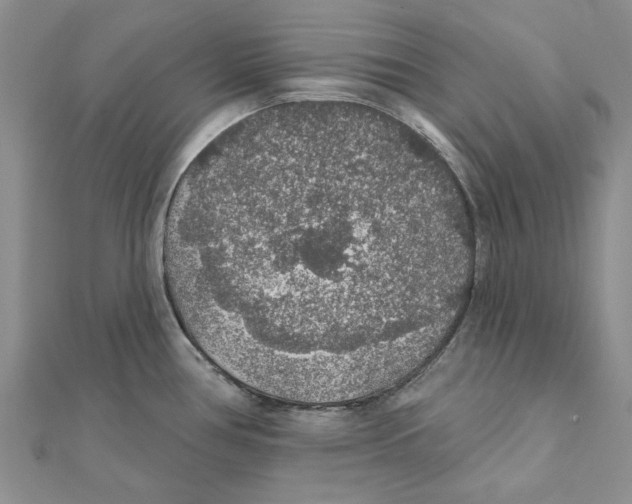 X0000111381386200908071226