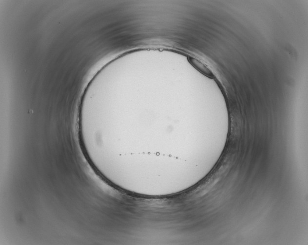 X0000111381387200908071226