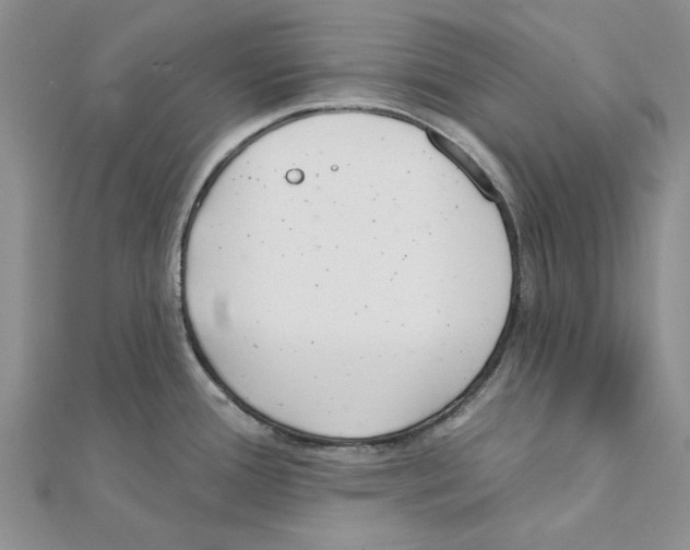 X0000111381388200908071226