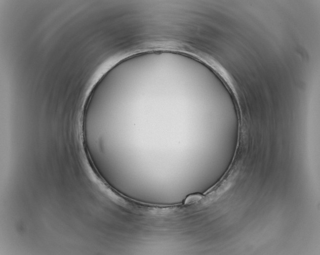 X0000111381389200908071226