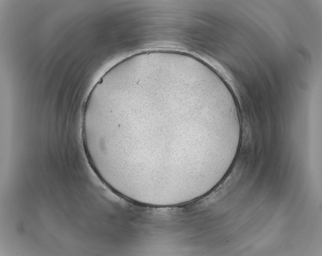 X0000111381390200908071226