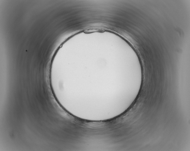 X0000111381392200908071226