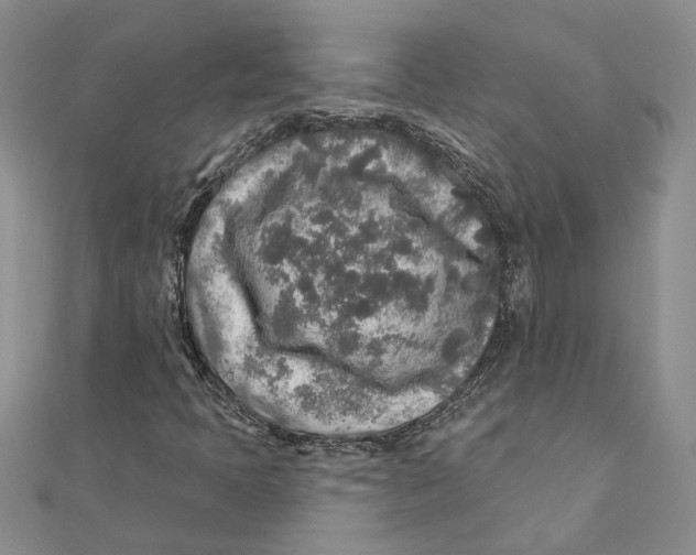 X0000111381397200908071225