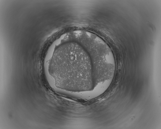 X0000111381398200908071225