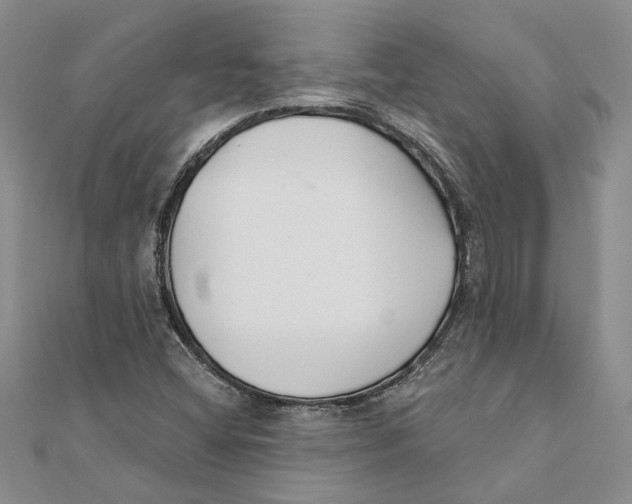 X0000111381404200908071225