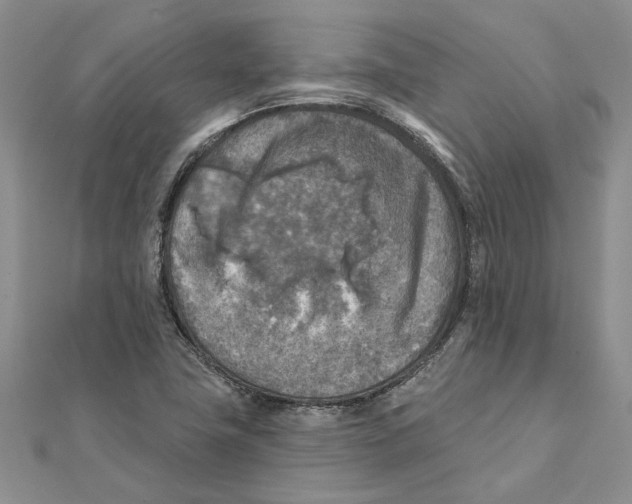 X0000111381411200908071225