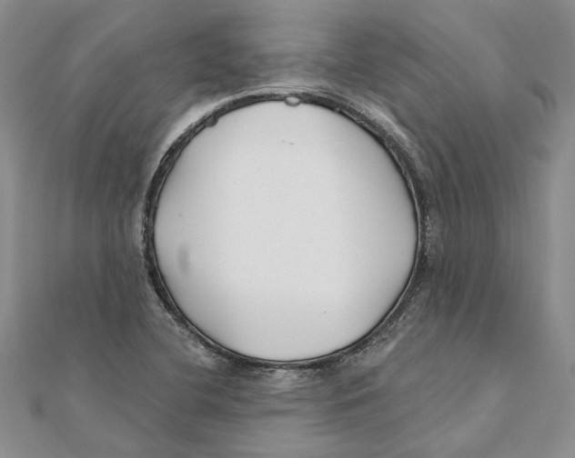 X0000111381412200908071225