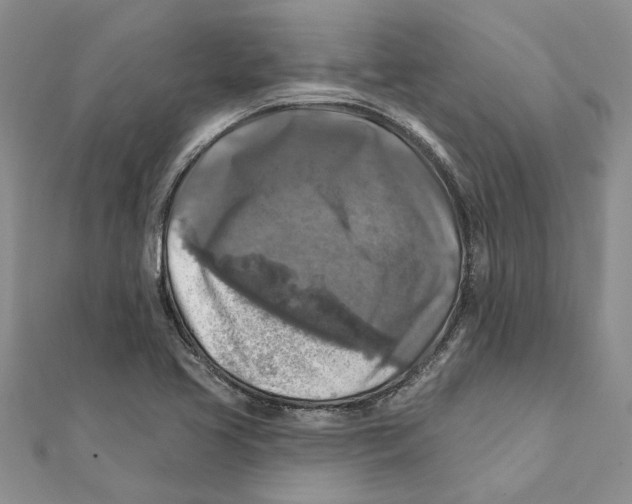 X0000111381413200908071225