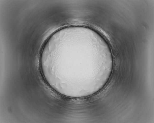 X0000111381415200908071225