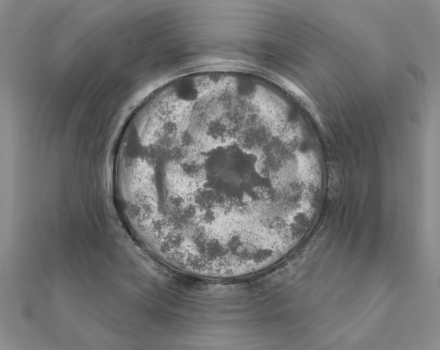 X0000111381419200908071226