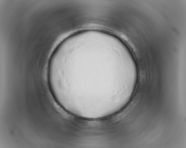 X0000111381421200908071226