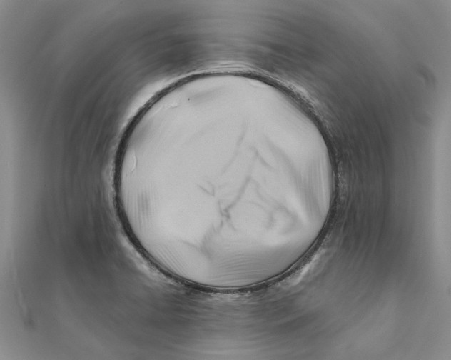 X0000111381422200908071226