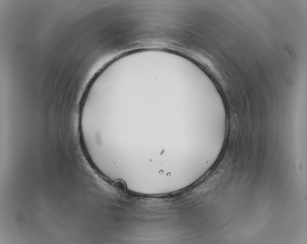 X0000111381424200908071226