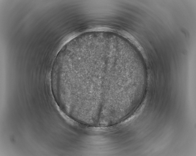 X0000111381425200908071226