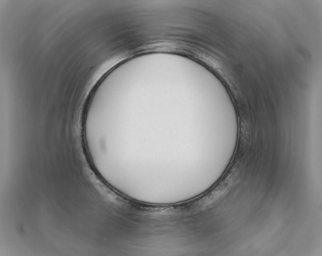 X0000111381426200908071226