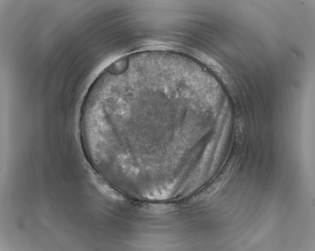 X0000111381427200908071226