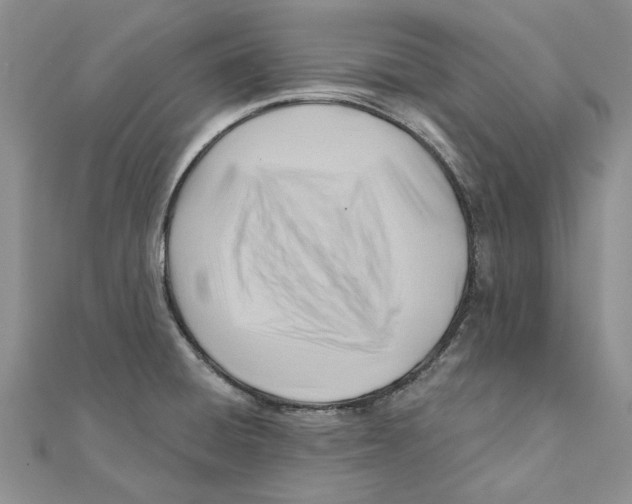 X0000111381428200908071226