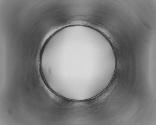 X0000111381430200908071226